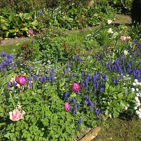 Yew Tree Cottage B&B Stow-on-the-Wold Bagian luar foto