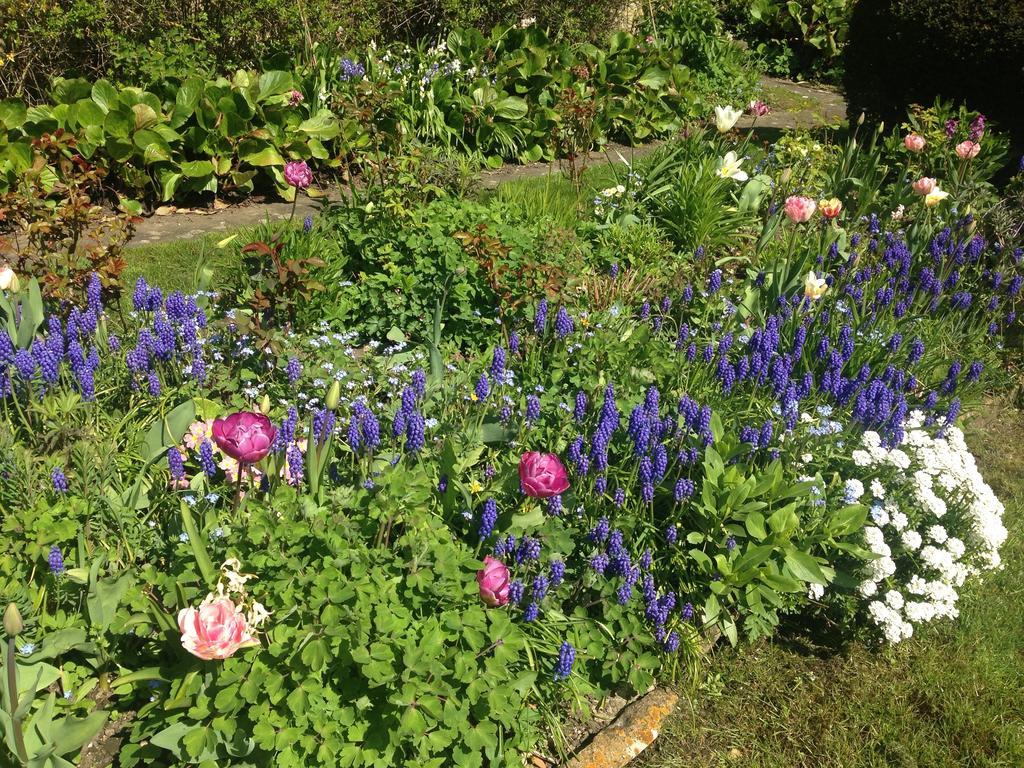 Yew Tree Cottage B&B Stow-on-the-Wold Bagian luar foto